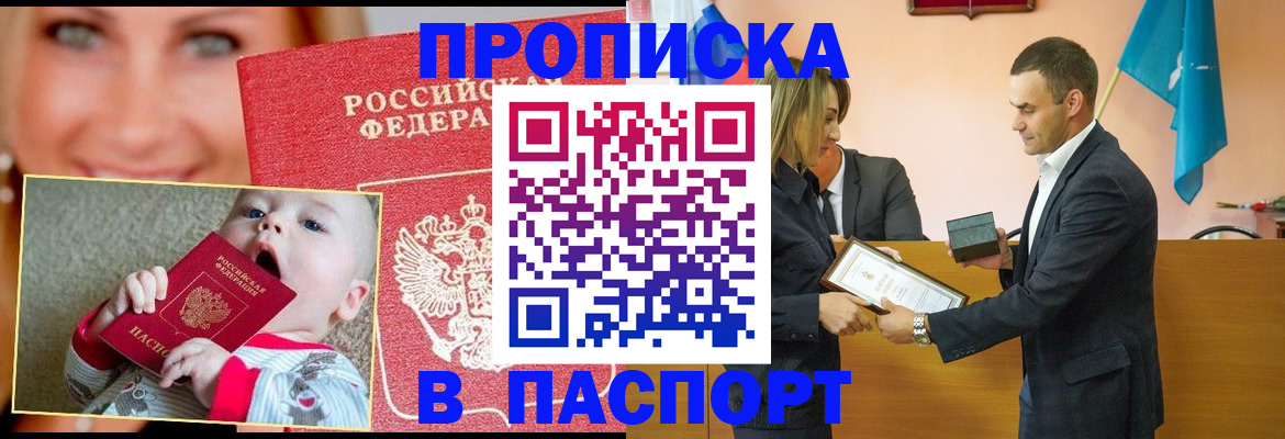 прописка поиск в Новозыбкове